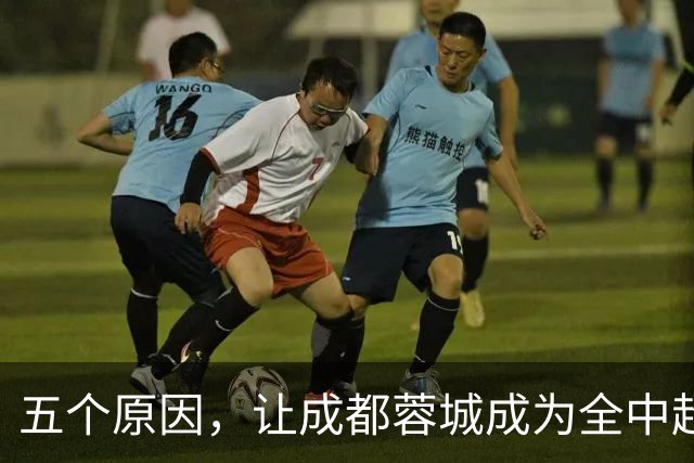 五个原因，让成都蓉城成为全中超公敌，球迷不愿看到他们夺冠