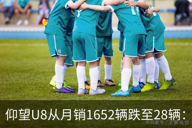 仰望U8从月销1652辆跌至28辆：技术堆满为何换不来百万市场？