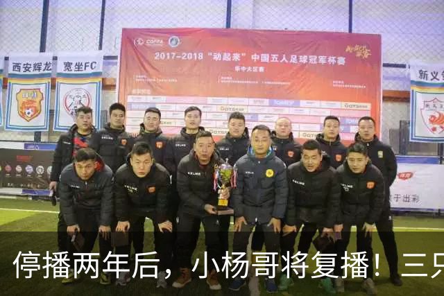 停播两年后，小杨哥将复播！三只羊曾转战海外签约无语哥