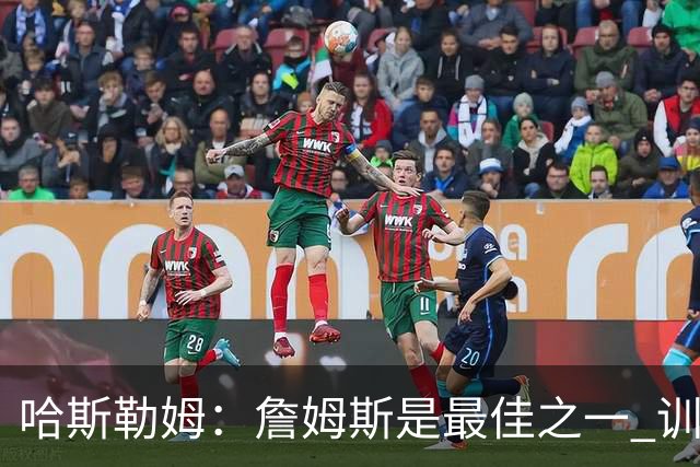 哈斯勒姆：詹姆斯是最佳之一 训练中他能让全队包括韦德都看呆