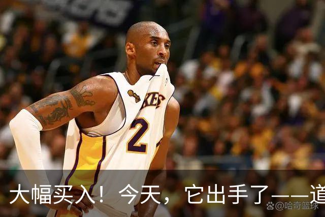 大幅买入！今天，它出手了——道达投资手记