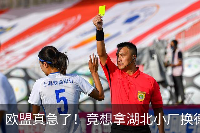 欧盟真急了！竟想拿湖北小厂换德国12人作坊，阿斯麦供应链要断了