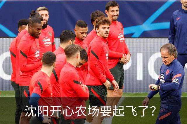 沈阳开心农场要起飞了？