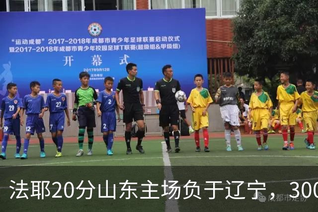 法耶20分山东主场负于辽宁，3000万先生王岚嵚0分首秀扑街