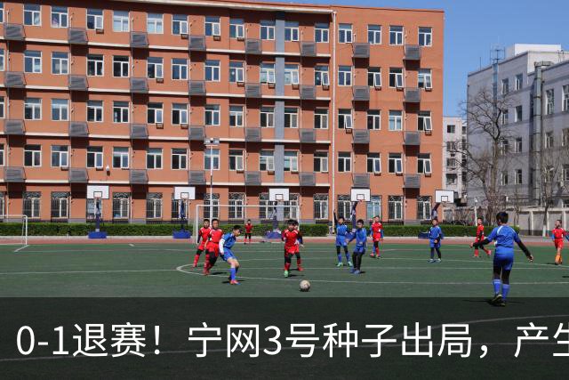 0-1退赛！宁网3号种子出局，产生连锁反应：WTA总决赛最后1席决出