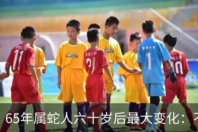 65年属蛇人六十岁后最大变化：不是享清福而是终于学会“往回活”